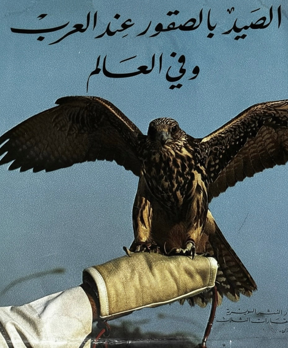 الصيد بالصقور عند العرب وفي العالم